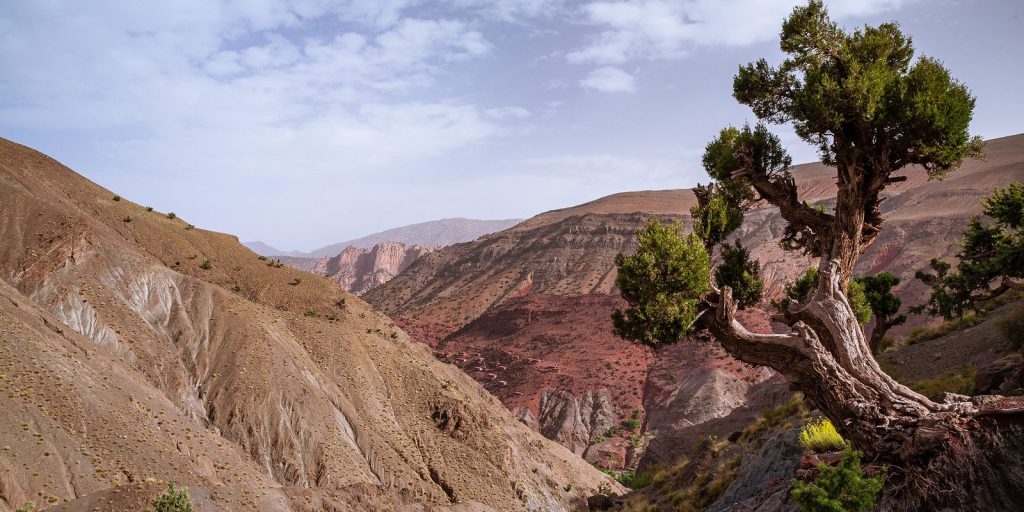 3-Day Trek in Ait Bouguemez Valley
