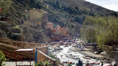 Day Trip to Ourika Valley