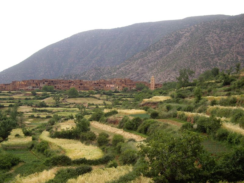 Excursion & Trek in the Zat Valley