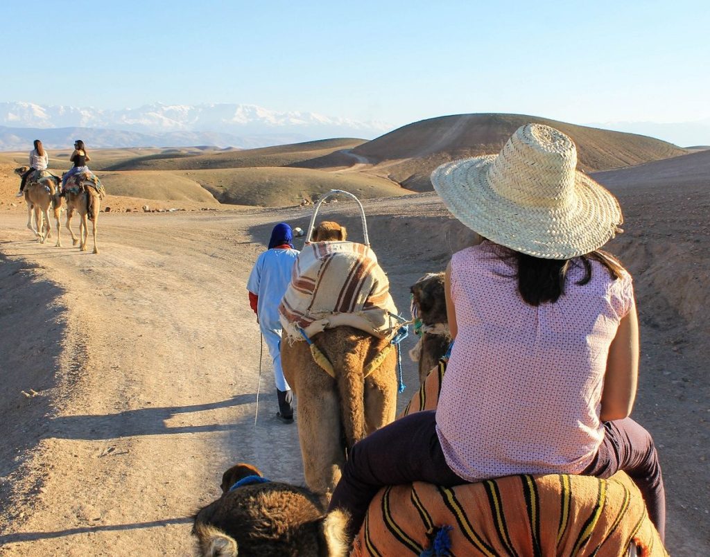 Camel Ride at sunset in Agafay