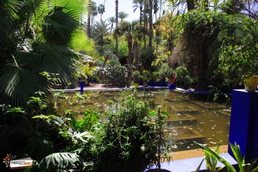 Majorelle Gardens, Museum and Ramparts