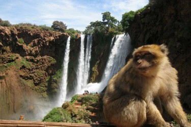 Day Trip to Ouzoud Waterfalls