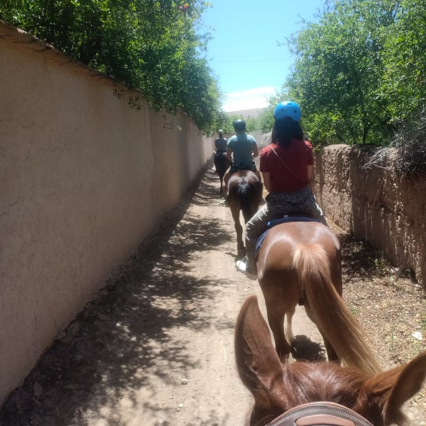 Horse Riding Tour in the Atlas